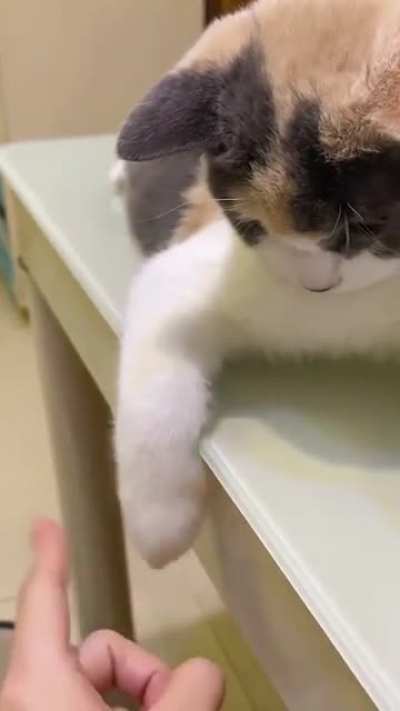 Floppy foot