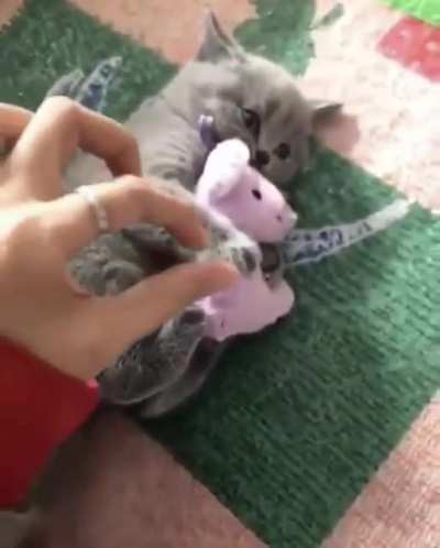 dis mine