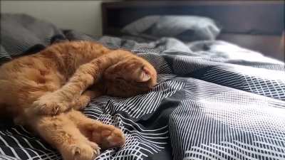 2 hours of sleeping, 1 minute of video