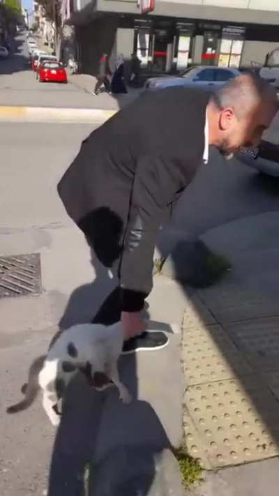 This man breaking up a cat fight in Istanbul 