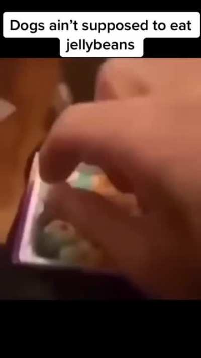 NOO...