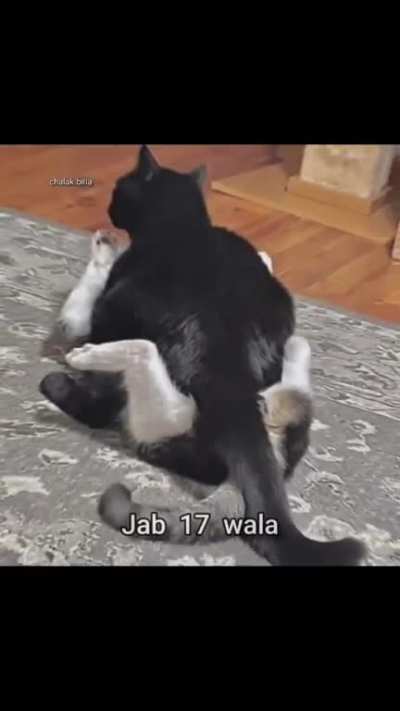 Wholesome