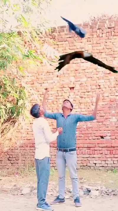 PETA vihar