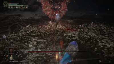 Malenia, Blade of Miquella VS Papa Smurf // RL1 (no roll/block/parry challenge)