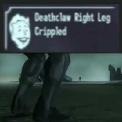 Leg