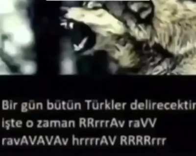 hav
