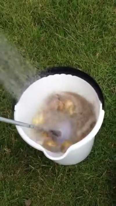 How to peel a lot of potatoes the fast way.