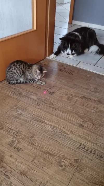 Both crazy