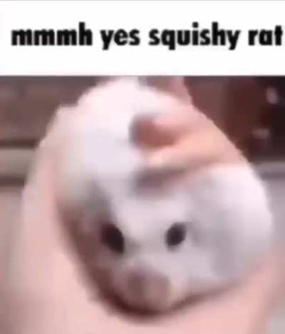 losercity røɗɛɲṭ