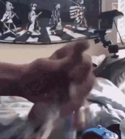 Here, take it