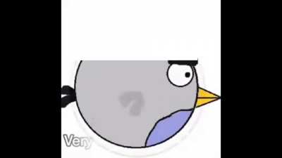 Angri birdo