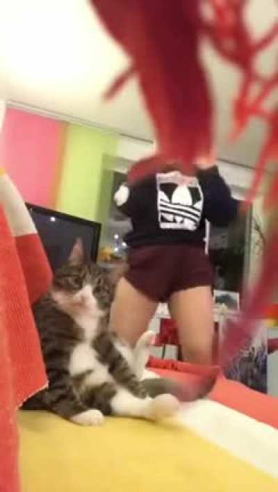 Why hooman. But why...