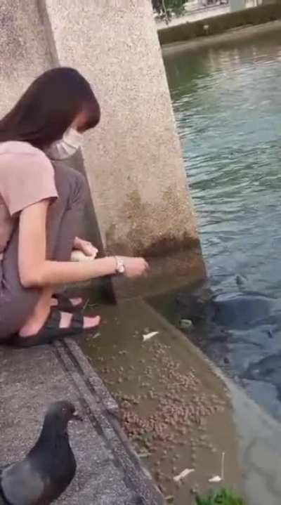 he's hungry too.