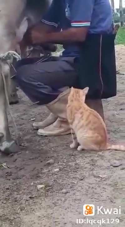 Your turn, then my turn...Human!