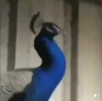 °□°