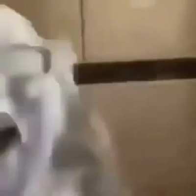 This is my CUM