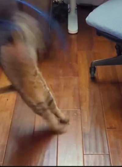 Mid-air Battle