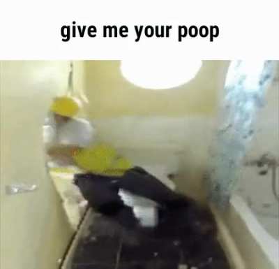 Tasty