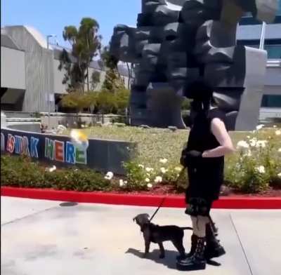 Billie and her puppy