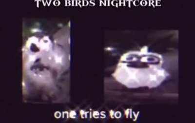 I can’t stop fucking laughing at this