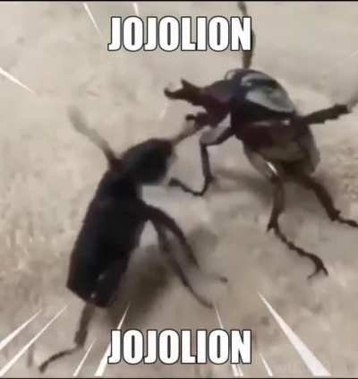 Jojolion