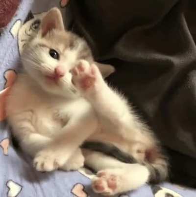 touch tha air