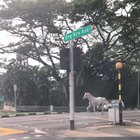 poor horse :(