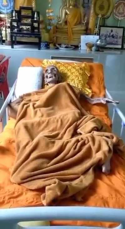 109 year old thai buddhist monk Luang Pho Yai. Monk passed away on April 8, 2022.
