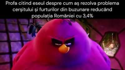 De ce nu?