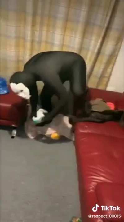 what the hell is happening here