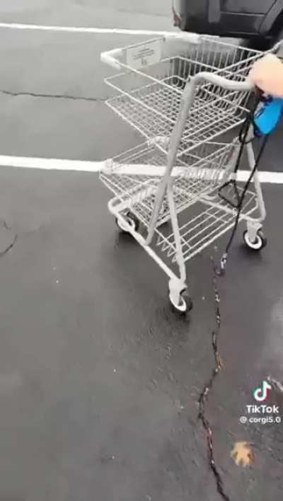 Attacking people’s cars for clout 