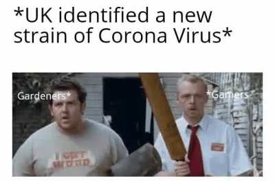 We've been waiting our whole lives for this