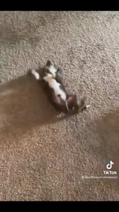 Trust fall