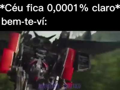 Bem-te-vi