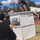 Had to get down somehow.