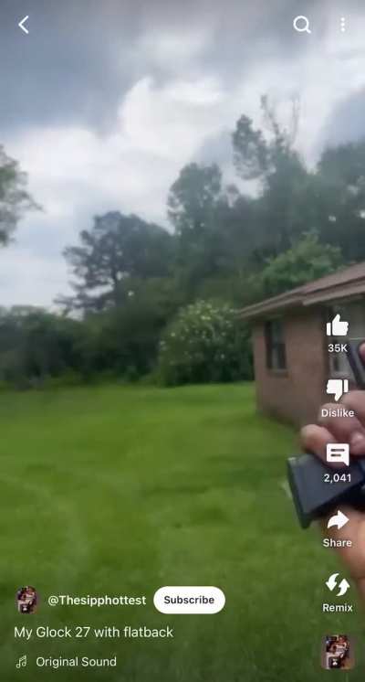 Had a whole yard of grass