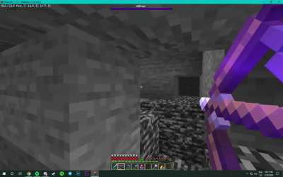 a nether star wasn't the only thing this wither gave me