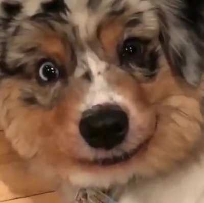 That smile tho.