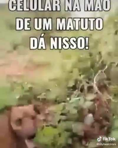 Pirulito