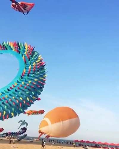 Kite flying festival.
