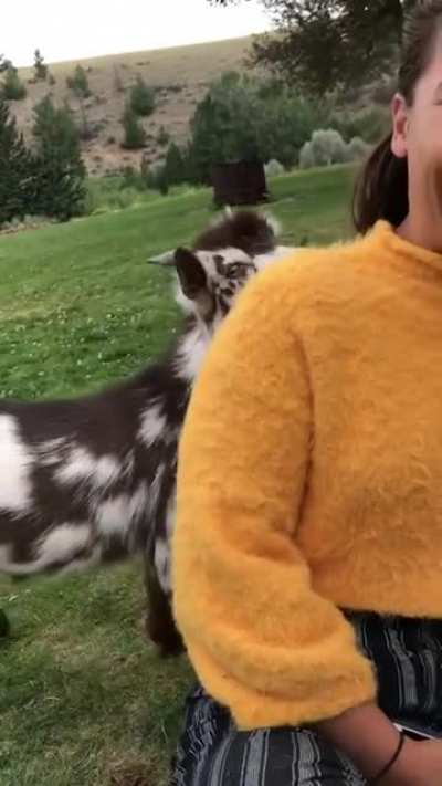 She Gets Her Goat