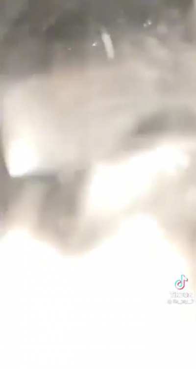‘its a live squi-‘