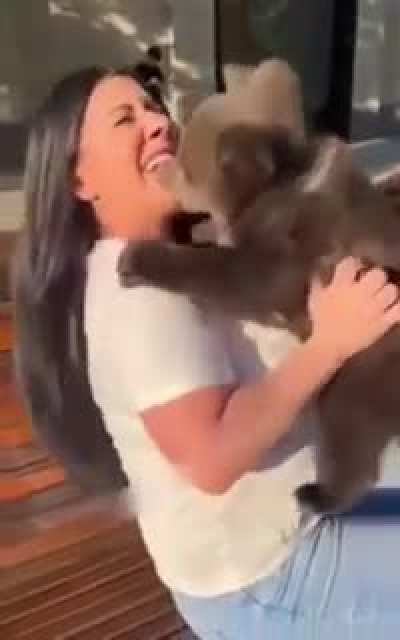 Hard to Bear