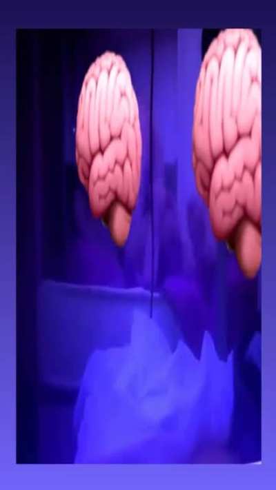 Yayın<wbr>ladığ<wbr>ı videolar ile iktidara soğuk duş aldıran Sedat Peker, 