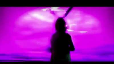 glitchtrapflies.mp4