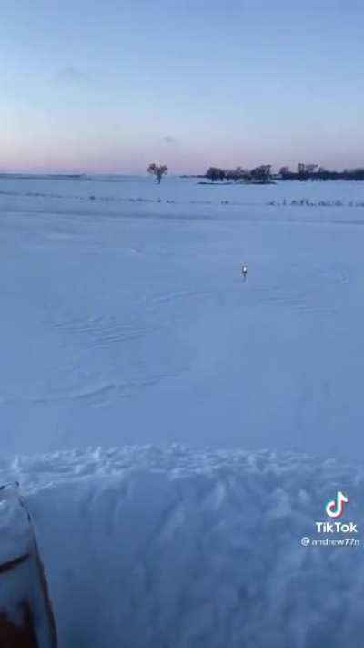Minnesota mantra
