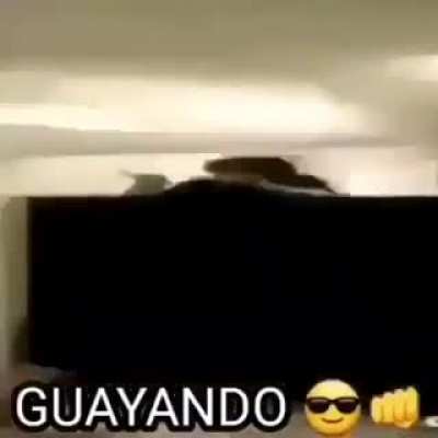 Guayando.