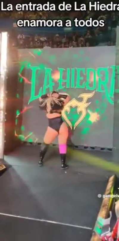 Hiedra