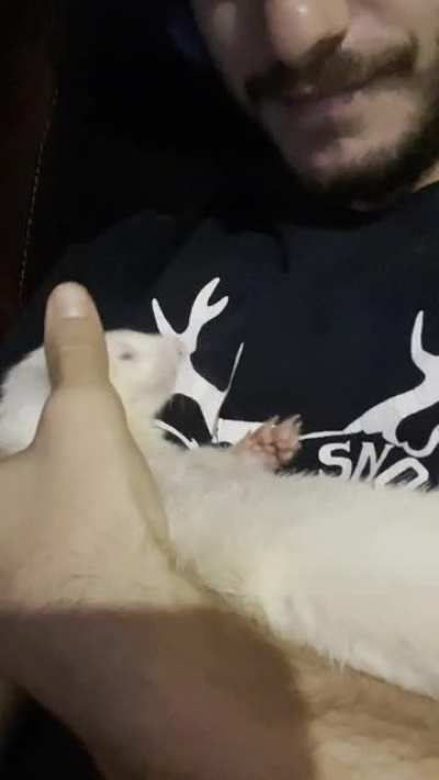 When they do the little hands on the face thing lol