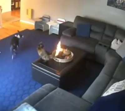 Quando nada mais te afeta